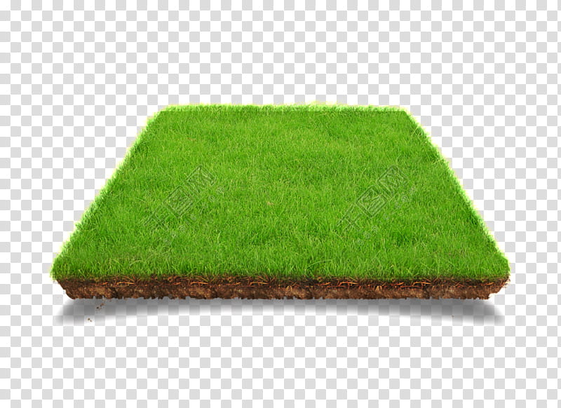 Green Grass, Lawn, Garden, Artificial Turf, Meadow, Herbaceous Plant, Flower Garden, Nursery transparent background PNG clipart