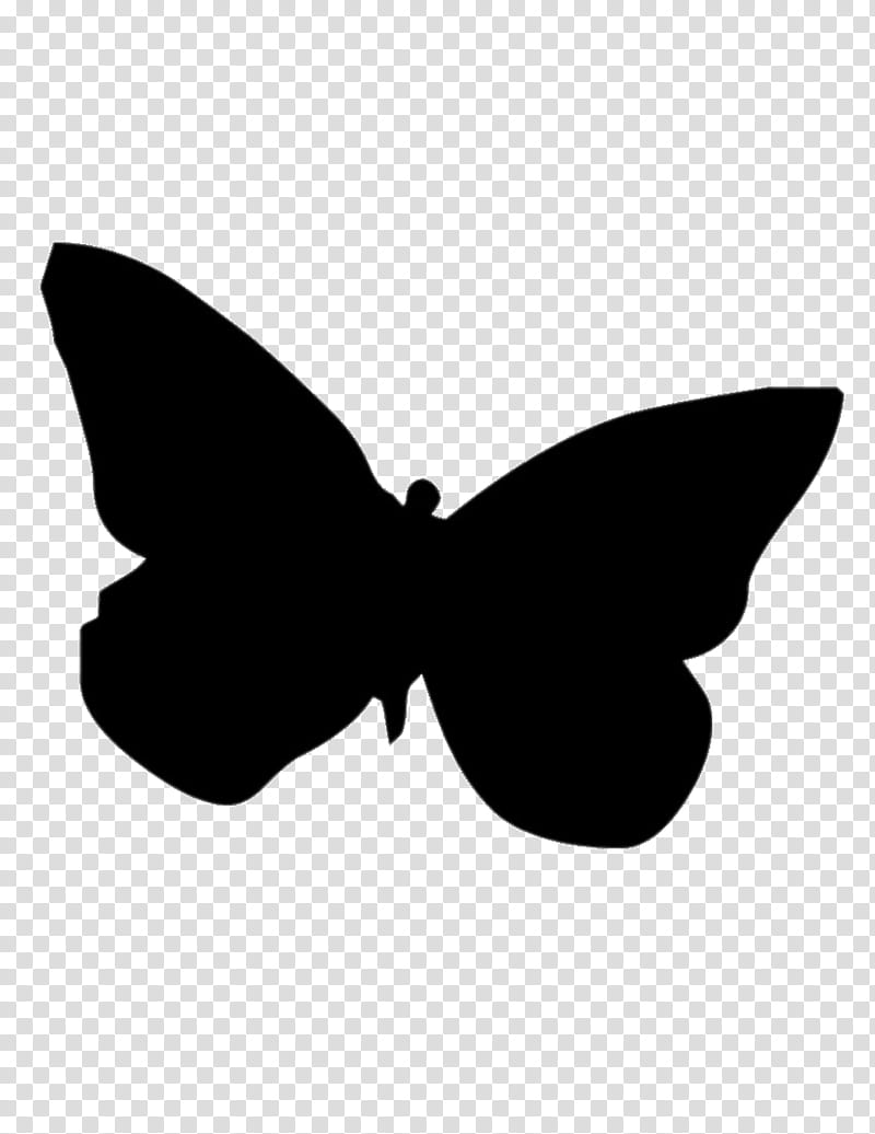 Butterfly Silhouette, Insect, Brushfooted Butterflies, Eastern Tiger Swallowtail, Drawing, Lepidoptera, Black, Moths And Butterflies transparent background PNG clipart