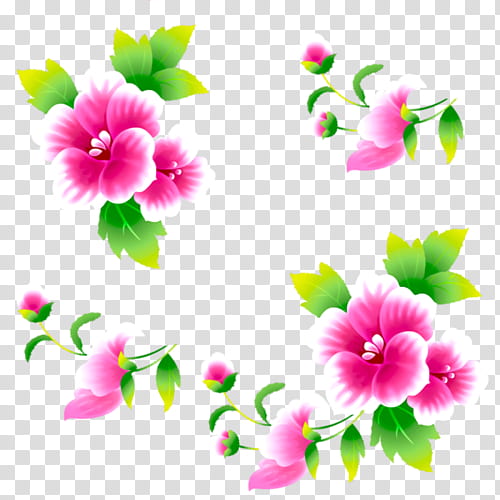 Pink Flower, Rosemallows, Islam, Youtube, Dailymotion, Night, Marriage, Urdu transparent background PNG clipart