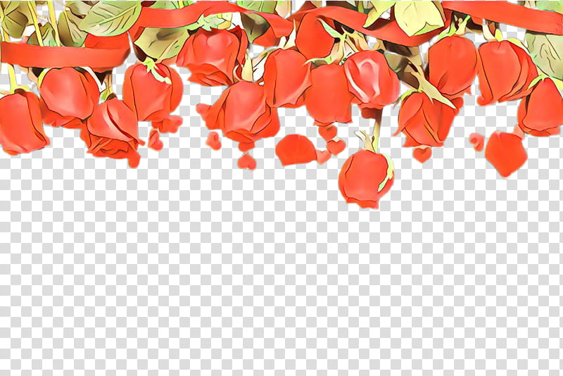 Orange, Red, Petal, Plant, Food, Coquelicot, Cuisine, Flower transparent background PNG clipart