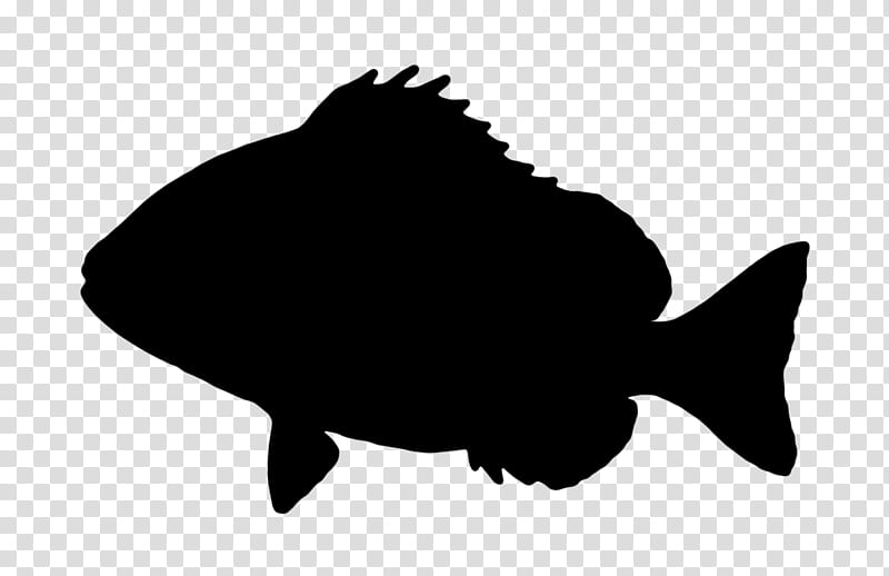 Fish, Drawing, Silhouette, Tail, Blackandwhite, Bonyfish transparent background PNG clipart