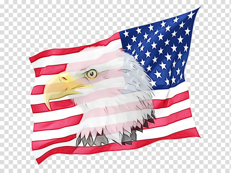 Veterans Day Independence Day, Fourth Of July, 4th Of July, American Flag, Eagle, Israel, Cap, Flag Of Israel transparent background PNG clipart