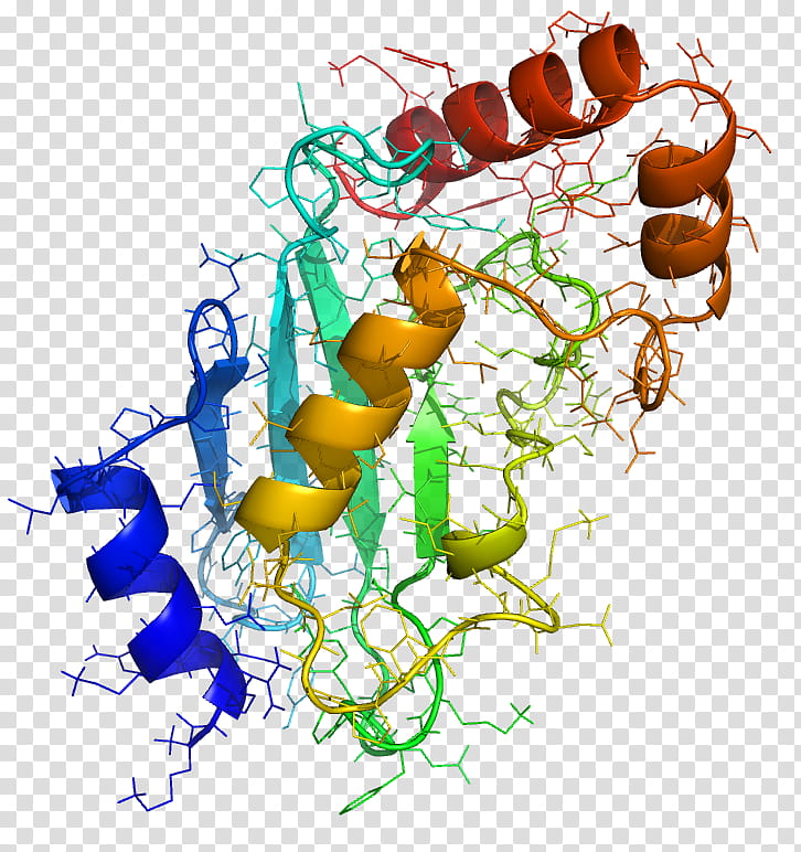 Graphic, Enzyme, Ubiquitin, Posttranslational Modification, Protein, Ubiquitinconjugating Enzyme, Ubiquitination transparent background PNG clipart