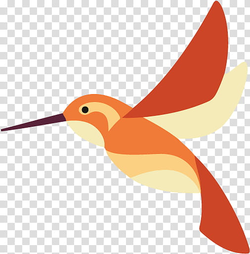 Bird Wing, Hummingbird, Beak, Water Bird, Fish, April, Orange, Rufous Hummingbird transparent background PNG clipart