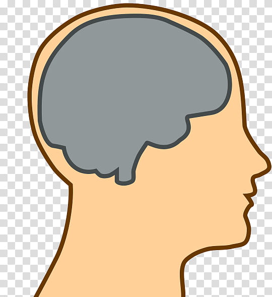 Brain Outline, Human Brain, Human Head, Outline Of The Human Brain, Skull, Face, Nose, Chin transparent background PNG clipart