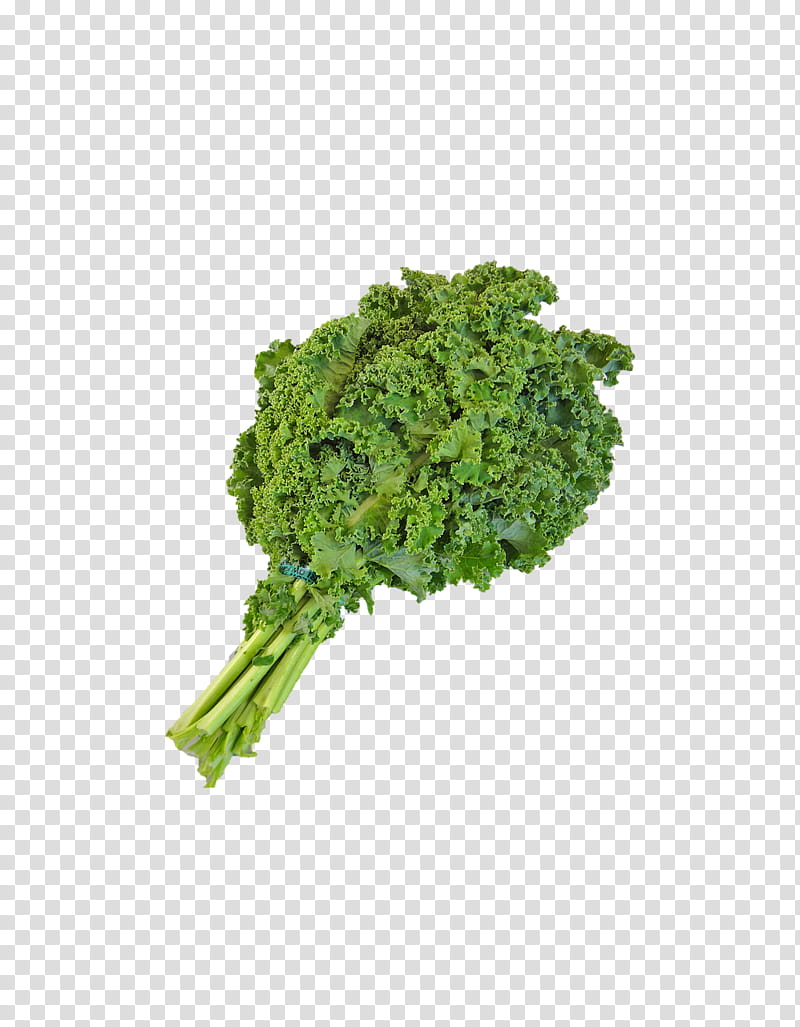Green Leaf, Smoothie, Milkshake, Juice, Curly Kale, Vegetable, Black Mustard Seed, Greens transparent background PNG clipart