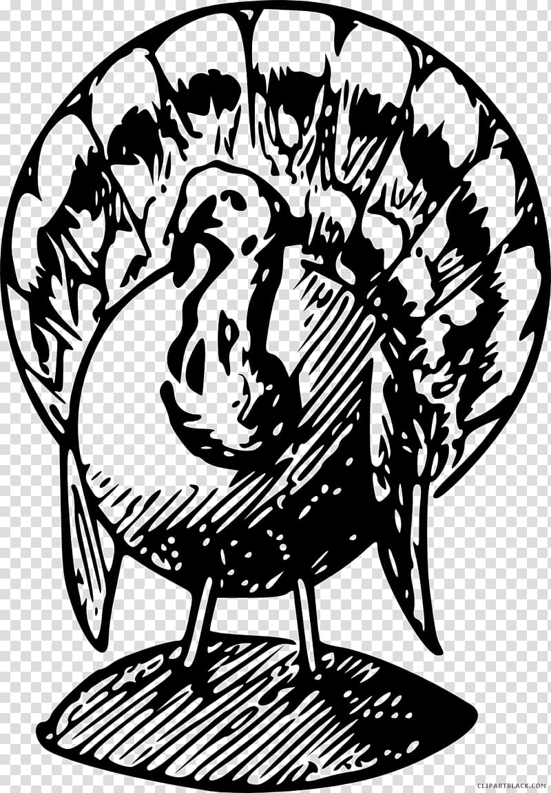 Book Black And White, Black Turkey, Turkey Meat, Broad Breasted White Turkey, Wild Turkey, Thanksgiving, Line Art, Blackandwhite transparent background PNG clipart