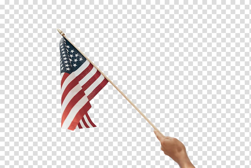 Veterans Day United States, Flag Of The United States, Line, Flag Day Usa transparent background PNG clipart