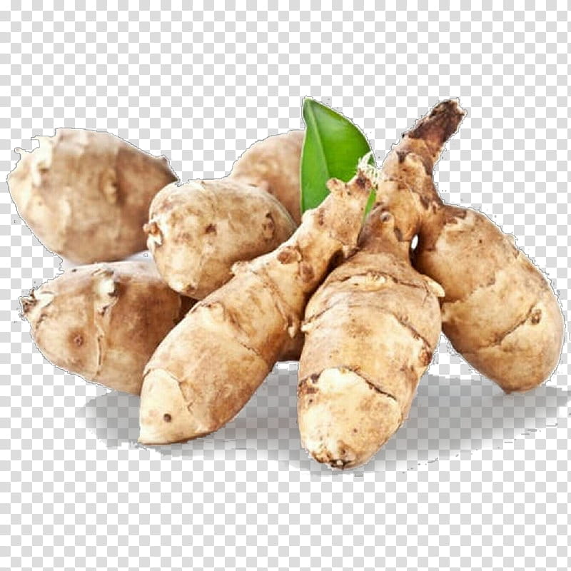 tuber zedoary ginger root vegetable jerusalem artichoke, Greater Galangal, Food, Zingiber transparent background PNG clipart