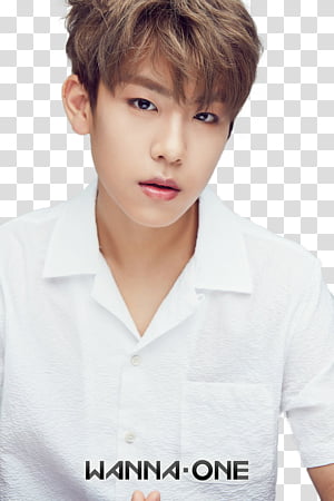 Wanna One x Member Profile, DEWHtNOUQAMHcuU icon transparent background PNG clipart thumbnail