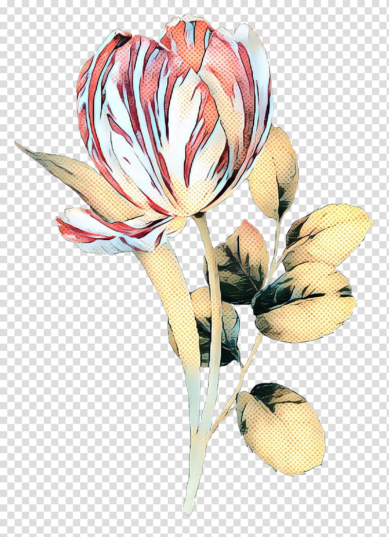 Lily Flower, Tulip, Cut Flowers, Flower Bouquet, Petal, Yellow, Plant, Protea transparent background PNG clipart