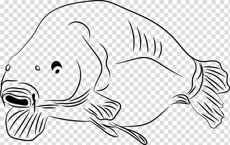 Mouth, Common Carp, Poster, Coloring Book, Fishing, Angling, Fish Hook, Carp Fishing transparent background PNG clipart