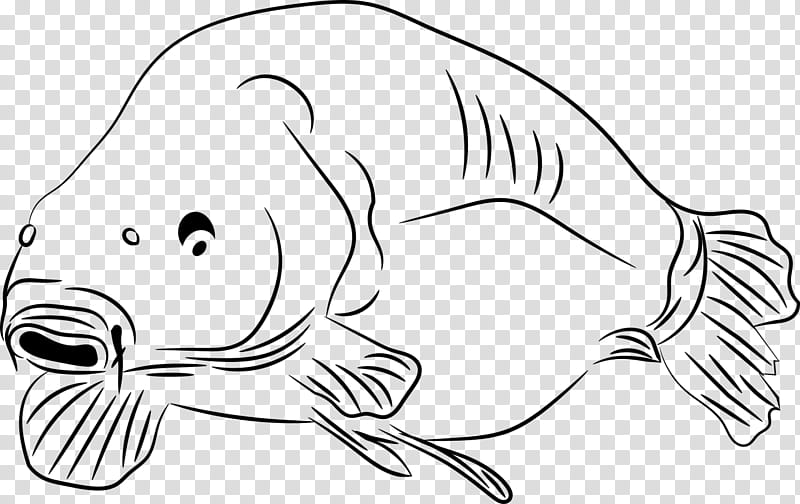 Mouth, Common Carp, Poster, Coloring Book, Fishing, Angling, Fish Hook