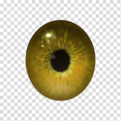 MMD Realistic Eye Textures DL transparent background PNG clipart