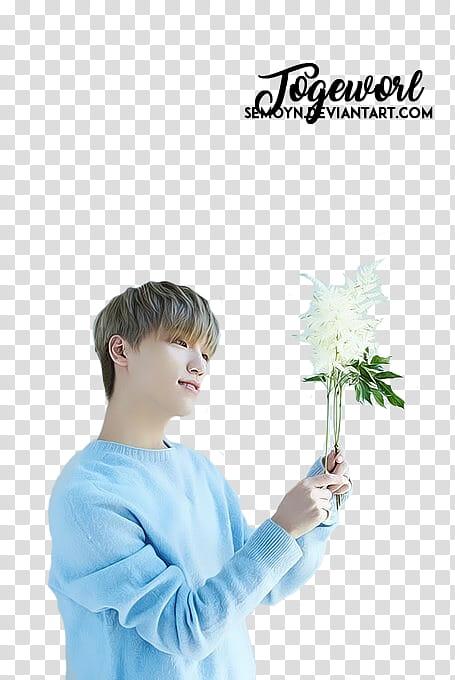 SEVENTEEN TEEN AGE WHITE TEASER, man in blue sweater holding flowers transparent background PNG clipart