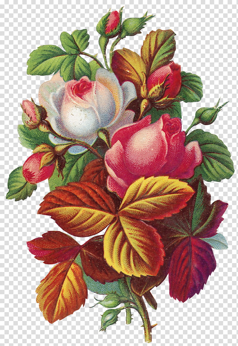 Floral Flower, Painting, Decoupage, Tole Painting, Floral Design, Plant, Rose Family, Flower Arranging transparent background PNG clipart