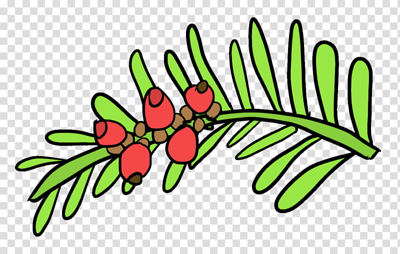 Pink Flower, Taxus Cuspidata, English Yew, Plants, Fruit, Chinese Quince, Pink Quill, Bonsai transparent background PNG clipart