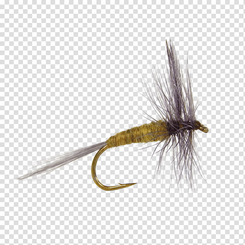 Fishing, Salmon Fly, Fly Fishing, Artificial Fly, Dry Fly Fishing, Fly Tying, Emergers, Orvis Henryville Special Fishing Fly Lure transparent background PNG clipart