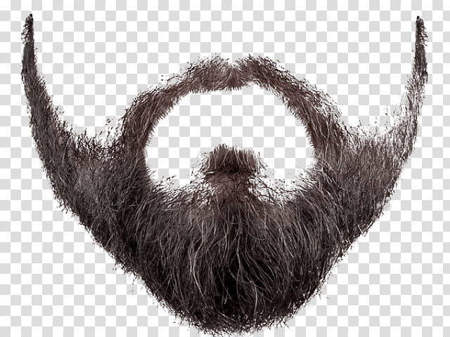 Pencil, Moustache, World Beard And Moustache Championships, Handlebar Moustache, Pencil Moustache, Facial Hair, Hairstyle, Fur transparent background PNG clipart