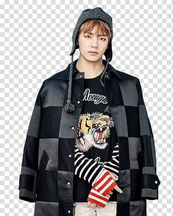 BTS You Never Walk Alone Solo, man wearing gray and black jacket transparent background PNG clipart