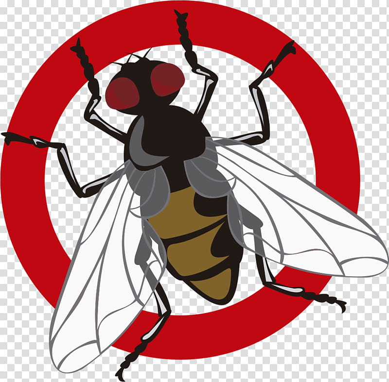 Bed, Pest Control, Deratizace, Exterminator, Cimex Lectularius, Bed Bug, Dezinsekce, Fumigation transparent background PNG clipart