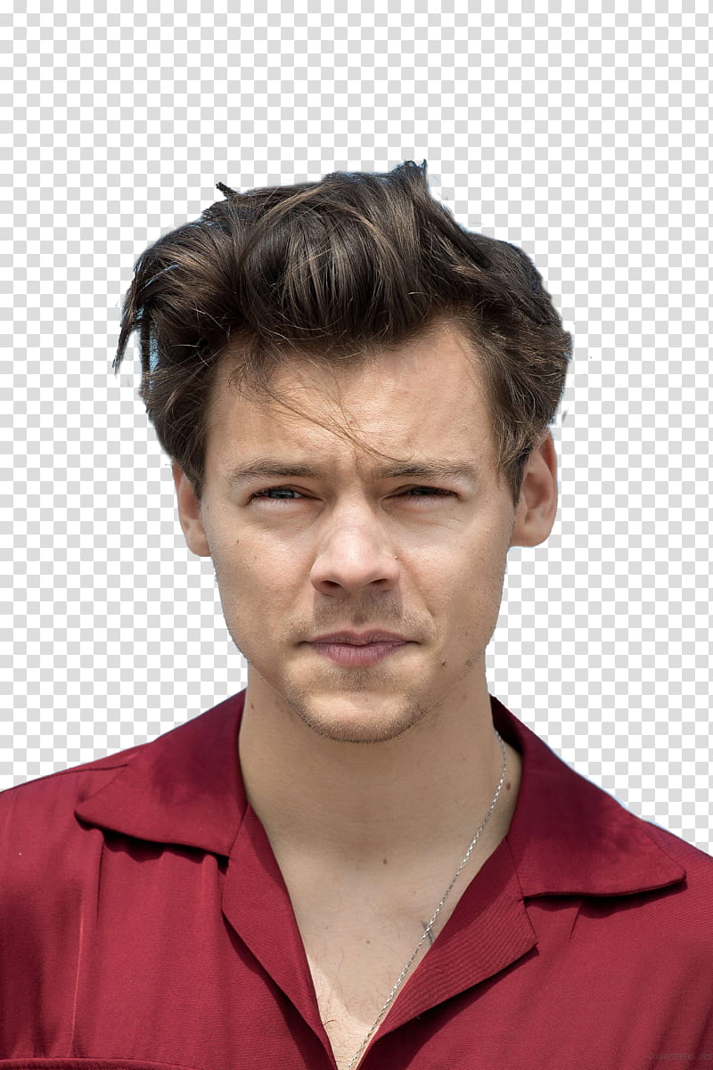 Harry Styles, man wearing red collared top transparent background PNG clipart