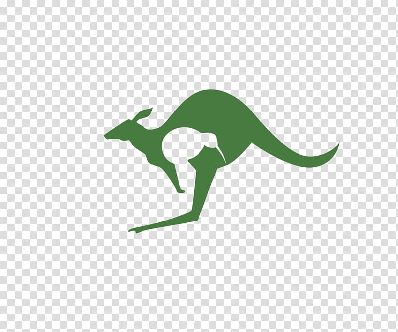 Green Grass, Kangaroo, Logo, Drawing, Teacher, Macropodidae, Tail, Line transparent background PNG clipart