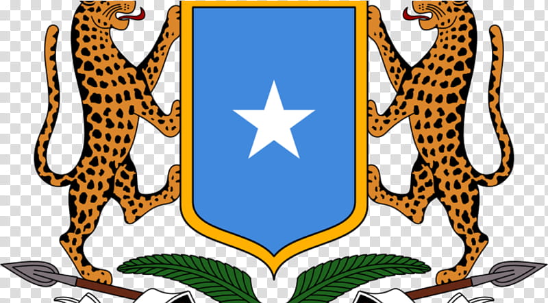 Cartoon Cat, Somalia, Embassy Of Somalia, Somali Democratic Republic, Coat Of Arms Of Somalia, Flag Of Somalia, Italian Somaliland, Coat Of Arms Of Morocco transparent background PNG clipart