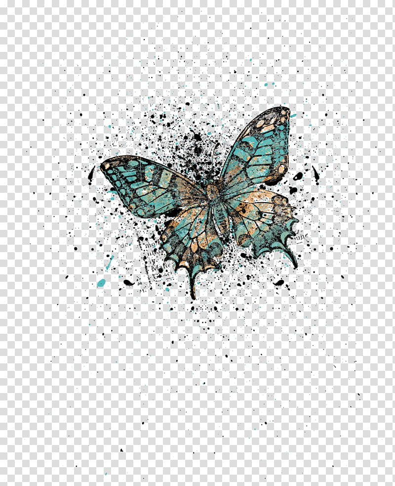 Dusting Wings Part , blue and black butterfly illustration transparent background PNG clipart