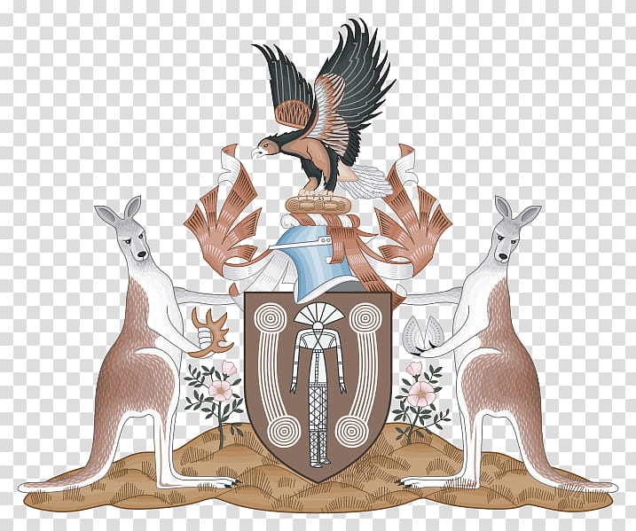Bird, Northern Territory, Coat Of Arms, Coat Of Arms Of The Northern Territory, Coat Of Arms Of Australia, Government Of The Northern Territory, Heraldry, Crest transparent background PNG clipart