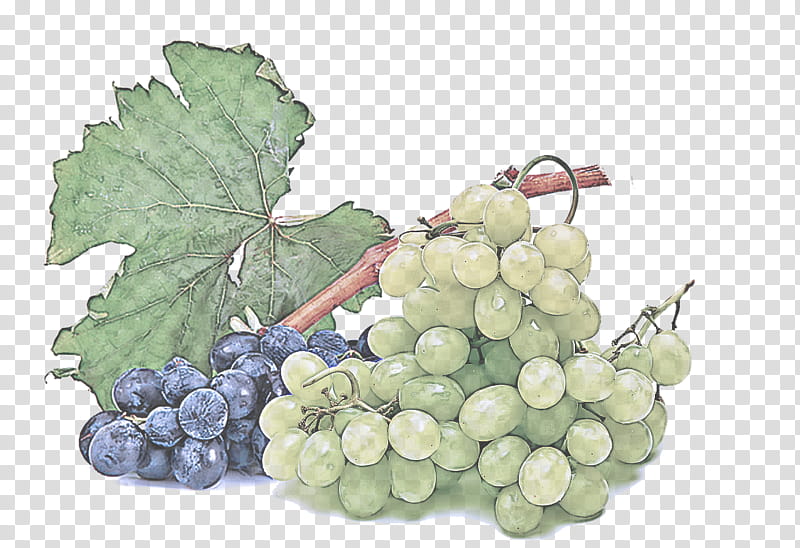 grape grape leaves seedless fruit grapevine family plant, Vitis, Flowering Plant, Food transparent background PNG clipart