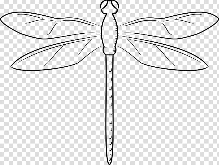 Web Design, Dragonfly, Insect, Line Art, , Odonata, Dragonflies And Damseflies, White transparent background PNG clipart