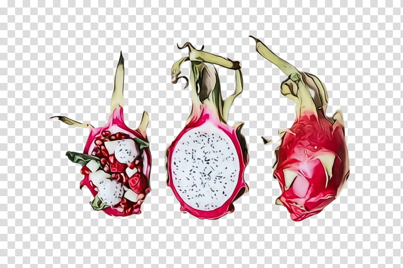 pitaya dragonfruit fruit plant fashion accessory, Watercolor, Paint, Wet Ink, Earrings, Jewellery, Flower transparent background PNG clipart