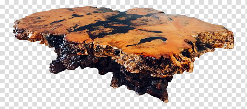 Modern, Table, Live Edge, Coffee Tables, Burl, Furniture, Trunk, Burlwood Coffee Table Brown transparent background PNG clipart