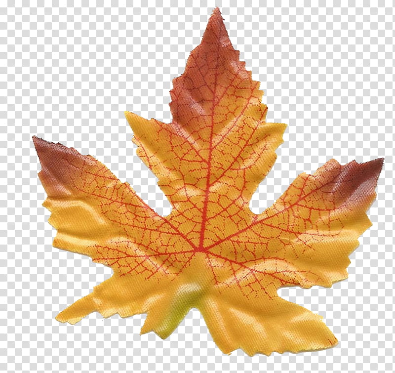 Autumn Decorative, Autumn Leaf Color, Decoupage, Interior Design Services, Maple Leaf, Tree transparent background PNG clipart