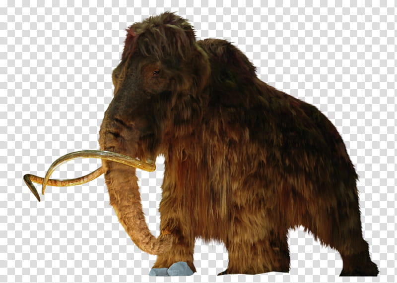 Woolly Mammoth cutout, brown mammoth transparent background PNG clipart