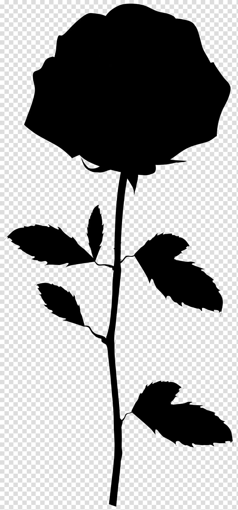 Love Black And White, Leaf, Plant Stem, Petal, Plants, May 20, Shot Puts, Temperate Climate transparent background PNG clipart