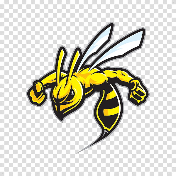 Bee, Hornet, Yellowjacket, Wasp, Drawing, Baldfaced Hornet, Honeybee, Membranewinged Insect transparent background PNG clipart
