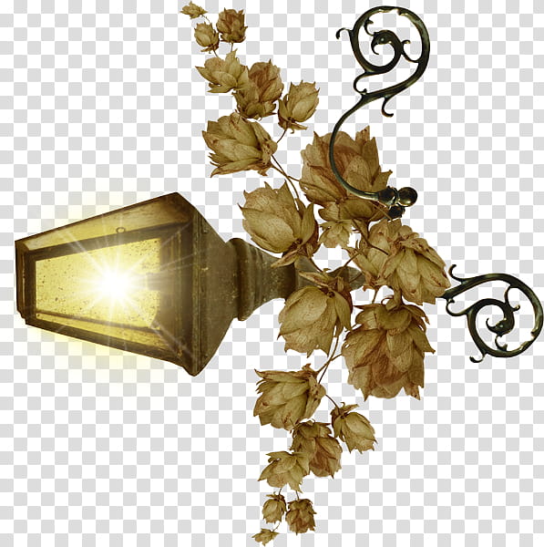 , dried flowers in outdoor lantern transparent background PNG clipart