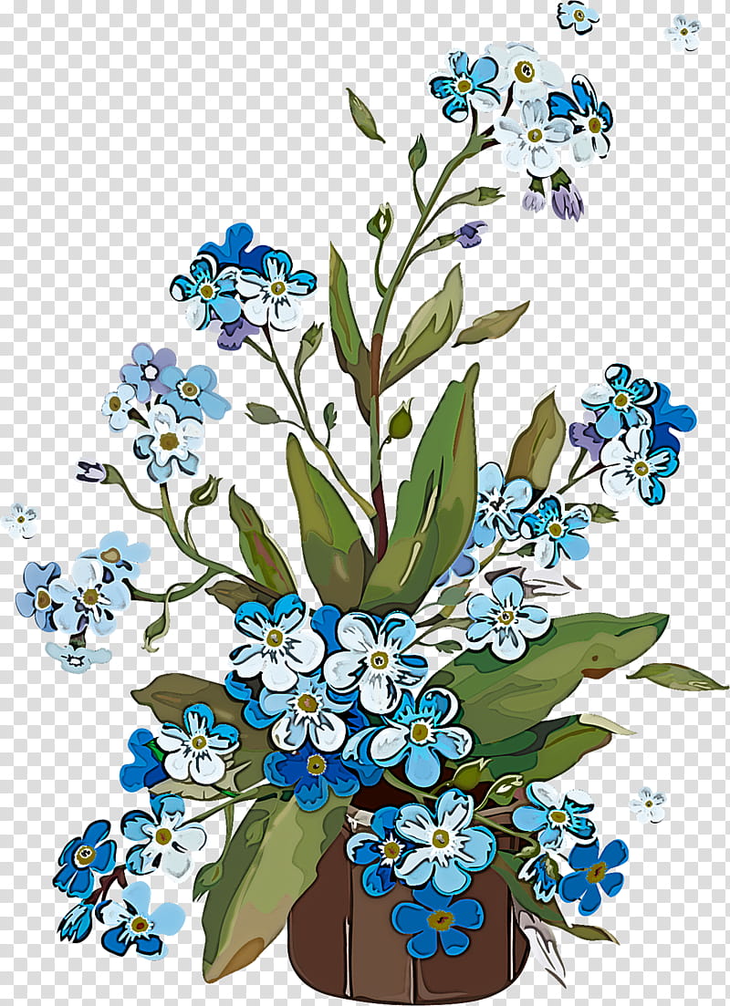 flower alpine forget-me-not forget-me-not plant water forget me not, Alpine Forgetmenot, Borage Family, Cut Flowers, Delphinium transparent background PNG clipart
