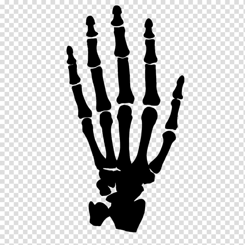 Human Skull Drawing, Hand, Human Skeleton, Carpal Bones, Appendicular Skeleton, Anatomy, Axial Skeleton, Menorah transparent background PNG clipart