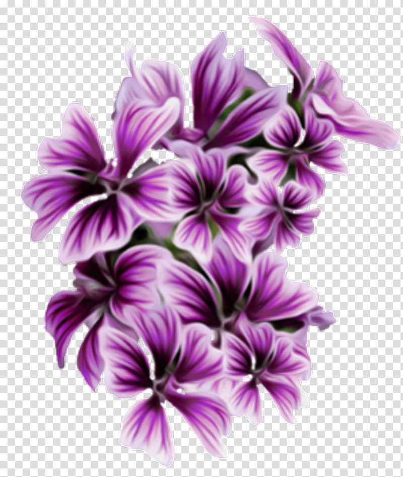 Wedding Flower Bouquet, Wedding Flowers, Corsage, Purple, Violet, Petal, Lilac, Plant transparent background PNG clipart
