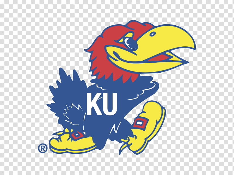 Bird Line Art, University Of Kansas, Kansas Jayhawks Baseball, Logo, Rock Chalk Jayhawk, Logo Sign, Sports, Yellow, Beak, Cartoon transparent background PNG clipart