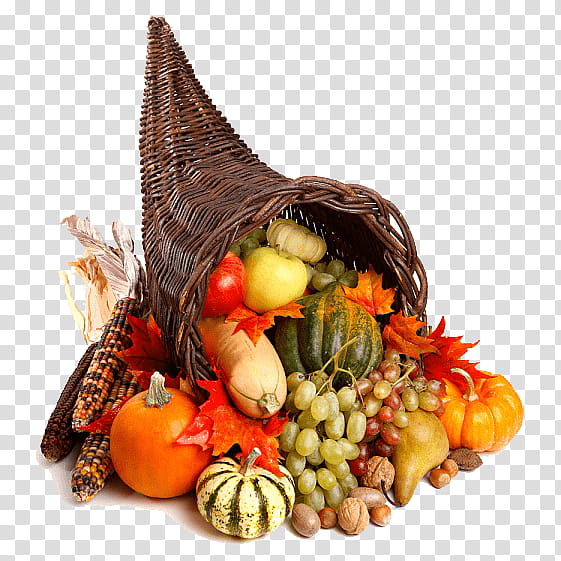 s, , Fotosearch, Getty s, Cornucopia, Horn, Gourd, Footage transparent background PNG clipart