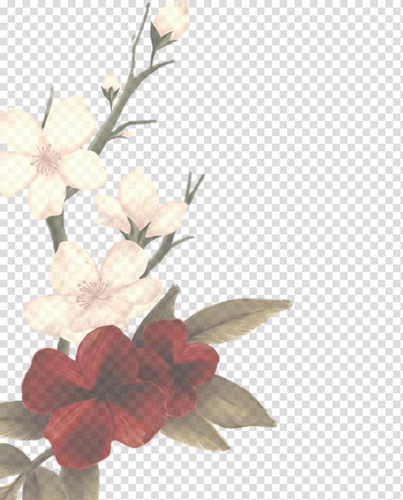 Floral Flower, Lost In Japan, In My Blood, Music, Song, Shawn Mendes, Why, Teddy Geiger transparent background PNG clipart