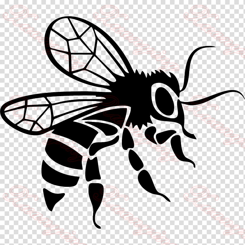 Cartoon Bee, Decal, Sticker, Bumper Sticker, Wall Decal, Honey Bee, Beekeeping, Beehive transparent background PNG clipart
