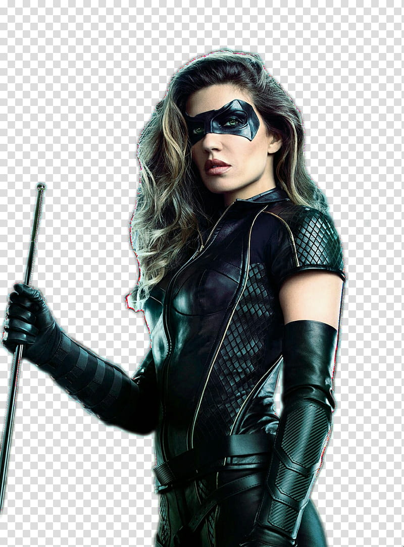 Black Canary Arrow S Suit Upgrade transparent background PNG clipart