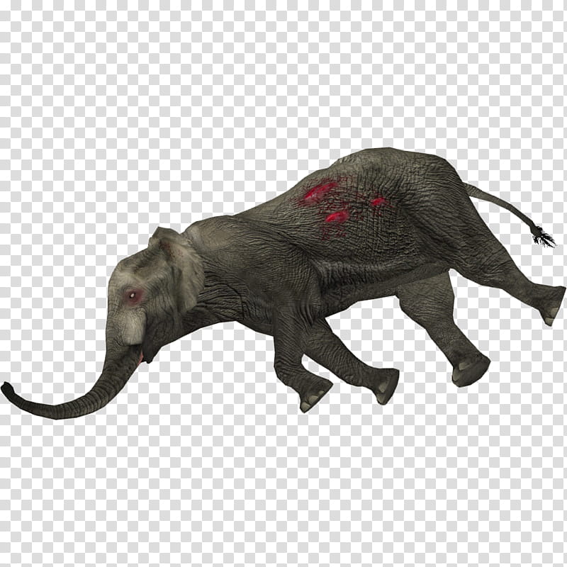 Lion Drawing, Indian Elephant, African Elephant, Animal, Camarasaurus, Wildlife, Elephants, Animal Figure transparent background PNG clipart