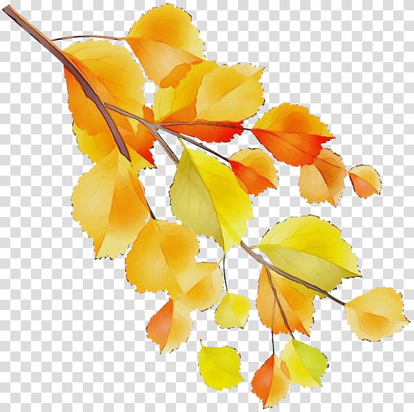 Watercolor Flower, Paint, Wet Ink, Branch, Autumn, Leaf, Fall Tree, Yellow transparent background PNG clipart