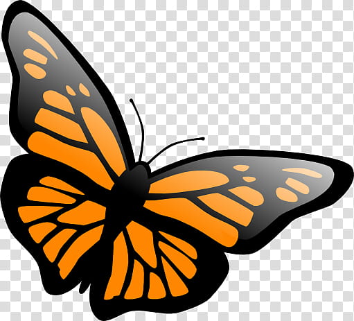 orange butterfly, black and orange butterfly transparent background PNG clipart